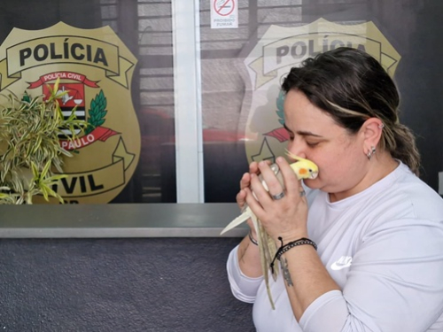foto Not&iacute;cia São Caetano do Sul