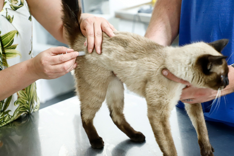 foto Not&iacute;cia São Caetano do Sul